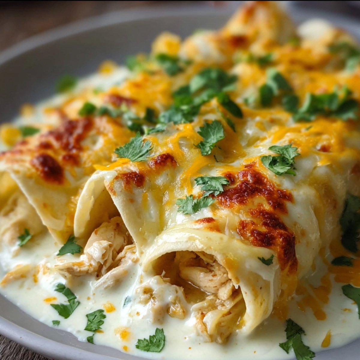 Creamy white chicken enchiladas served on a plate, topped with melted cheese and fresh chopped cilantro.
